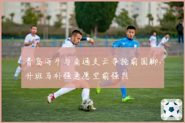 青岛海牛与南通支云争抢前国脚，升班马补强意愿空前强烈