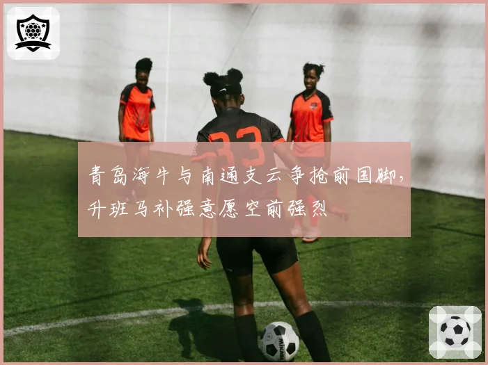 青岛海牛与南通支云争抢前国脚，升班马补强意愿空前强烈