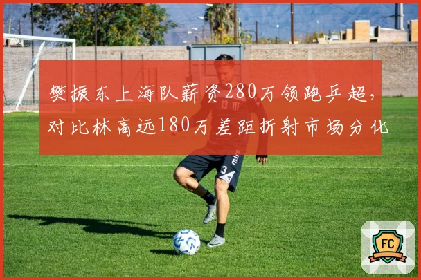 樊振东上海队薪资280万领跑乒超,对比林高远180万差距折射市场分化